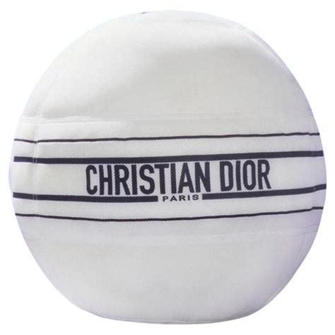 christian dior gym ball|Dior technogym limited edition.